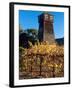 Water Tank Tower at the Handley Cellars Winery, Mendocino County, California, USA-John Alves-Framed Premium Photographic Print