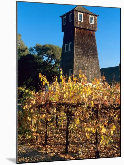 Water Tank Tower at the Handley Cellars Winery, Mendocino County, California, USA-John Alves-Mounted Premium Photographic Print