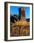 Water Tank Tower at the Handley Cellars Winery, Mendocino County, California, USA-John Alves-Framed Photographic Print