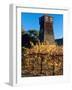 Water Tank Tower at the Handley Cellars Winery, Mendocino County, California, USA-John Alves-Framed Photographic Print