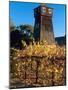 Water Tank Tower at the Handley Cellars Winery, Mendocino County, California, USA-John Alves-Mounted Photographic Print