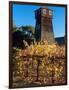 Water Tank Tower at the Handley Cellars Winery, Mendocino County, California, USA-John Alves-Framed Photographic Print