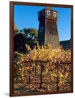 Water Tank Tower at the Handley Cellars Winery, Mendocino County, California, USA-John Alves-Framed Photographic Print