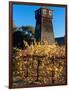 Water Tank Tower at the Handley Cellars Winery, Mendocino County, California, USA-John Alves-Framed Photographic Print