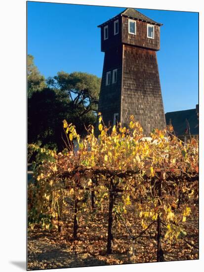 Water Tank Tower at the Handley Cellars Winery, Mendocino County, California, USA-John Alves-Mounted Photographic Print