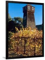 Water Tank Tower at the Handley Cellars Winery, Mendocino County, California, USA-John Alves-Framed Photographic Print