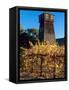 Water Tank Tower at the Handley Cellars Winery, Mendocino County, California, USA-John Alves-Framed Stretched Canvas