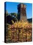 Water Tank Tower at the Handley Cellars Winery, Mendocino County, California, USA-John Alves-Stretched Canvas