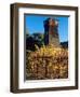 Water Tank Tower at the Handley Cellars Winery, Mendocino County, California, USA-John Alves-Framed Photographic Print