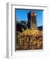 Water Tank Tower at the Handley Cellars Winery, Mendocino County, California, USA-John Alves-Framed Photographic Print