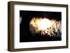 Water Tapestry II, 2017, (Manipulated Photography)-Helen White-Framed Photographic Print