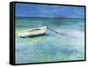 Water Taxi-Curt Crain-Framed Stretched Canvas