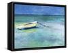 Water Taxi-Curt Crain-Framed Stretched Canvas