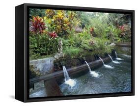 Water Temple, Bali, Indonesia, Southeast Asia-Harding Robert-Framed Stretched Canvas