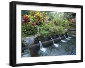 Water Temple, Bali, Indonesia, Southeast Asia-Harding Robert-Framed Photographic Print