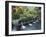 Water Temple, Bali, Indonesia, Southeast Asia-Harding Robert-Framed Photographic Print