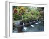 Water Temple, Bali, Indonesia, Southeast Asia-Harding Robert-Framed Photographic Print