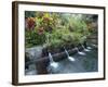 Water Temple, Bali, Indonesia, Southeast Asia-Harding Robert-Framed Photographic Print