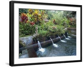 Water Temple, Bali, Indonesia, Southeast Asia-Harding Robert-Framed Photographic Print