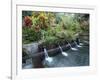 Water Temple, Bali, Indonesia, Southeast Asia-Harding Robert-Framed Photographic Print