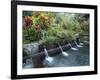 Water Temple, Bali, Indonesia, Southeast Asia-Harding Robert-Framed Photographic Print