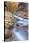 Water Through Stone The Virgin Narrows Southern Utah-Vincent James-Stretched Canvas