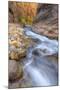 Water Through Stone The Virgin Narrows Southern Utah-Vincent James-Mounted Photographic Print