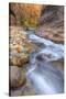 Water Through Stone The Virgin Narrows Southern Utah-Vincent James-Stretched Canvas