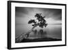 Water Tree 11 BW-Moises Levy-Framed Photographic Print