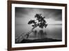 Water Tree 11 BW-Moises Levy-Framed Photographic Print