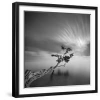 Water Tree 3-Moises Levy-Framed Premium Photographic Print