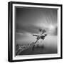 Water Tree 3-Moises Levy-Framed Premium Photographic Print