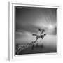 Water Tree 3-Moises Levy-Framed Premium Photographic Print