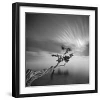 Water Tree 3-Moises Levy-Framed Photographic Print