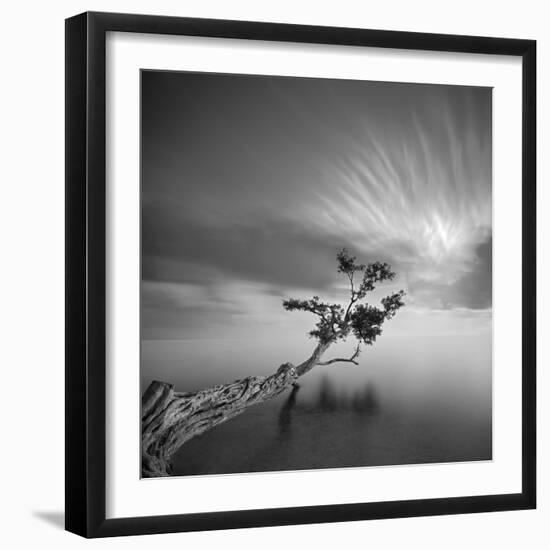 Water Tree 3-Moises Levy-Framed Photographic Print