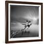 Water Tree 3-Moises Levy-Framed Photographic Print