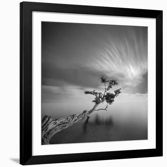 Water Tree 3-Moises Levy-Framed Photographic Print