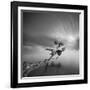 Water Tree 3-Moises Levy-Framed Photographic Print