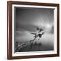 Water Tree 3-Moises Levy-Framed Photographic Print