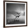 Water Tree 3-Moises Levy-Framed Photographic Print