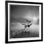 Water Tree 3-Moises Levy-Framed Photographic Print