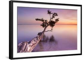Water Tree XI-Moises Levy-Framed Photographic Print