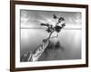 Water Tree XIII-Moises Levy-Framed Photographic Print