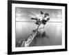 Water Tree XIII-Moises Levy-Framed Photographic Print