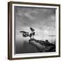 Water Tree-Moises Levy-Framed Premium Photographic Print