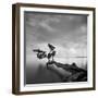 Water Tree-Moises Levy-Framed Photographic Print