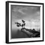 Water Tree-Moises Levy-Framed Photographic Print