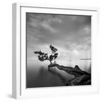 Water Tree-Moises Levy-Framed Photographic Print