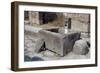 Water Trough, Pompeii, Campania, Italy-Walter Rawlings-Framed Photographic Print