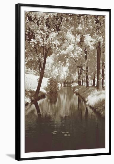 Water Under the Bridge-Ily Szilyagi-Framed Giclee Print